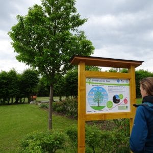 Start im Schlosspark bei der Station „Schattenspender Baum“, © KLAR! Naturpark Pöllauer Tal)